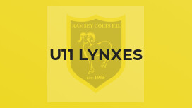 U11 Lynxes