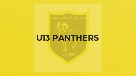 U13 Panthers