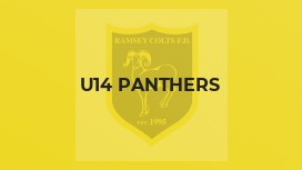 U14 Panthers