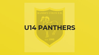U14 Panthers