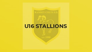 U16 Stallions