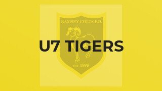 U7 Tigers
