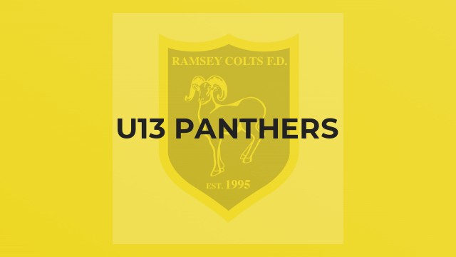 U13 Panthers