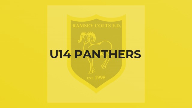 U14 Panthers