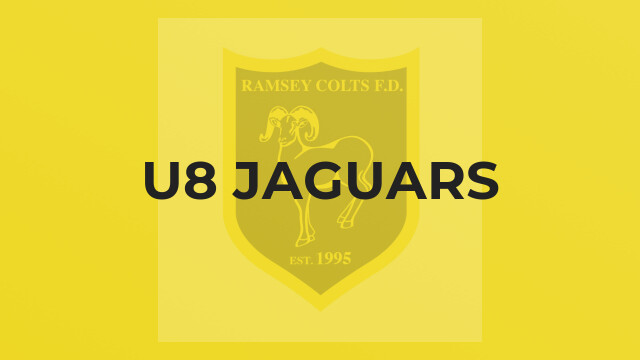 U8 Jaguars