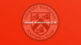 Grimsby Borough Colts U8