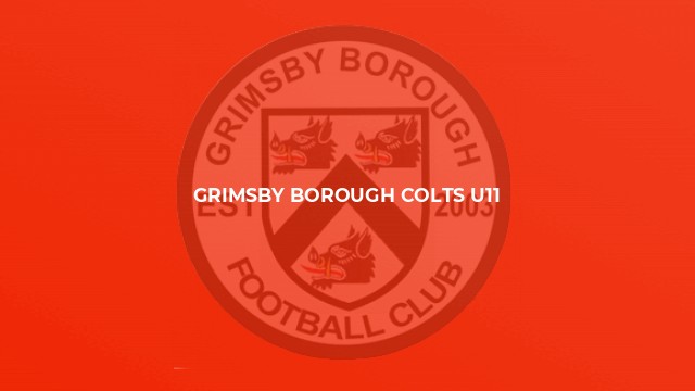 Grimsby Borough Colts U11