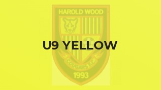U9 Yellow