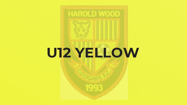 U12 Yellow