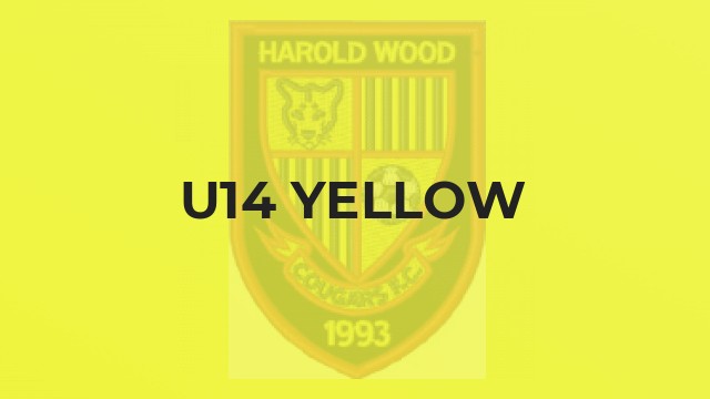 U14 Yellow
