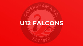 U12 Falcons