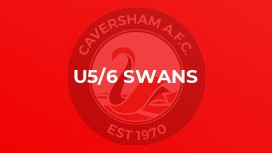 U5/6 Swans