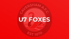 U7 Foxes