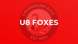 U8 Foxes