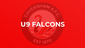 U9 Falcons