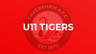 U11 Tigers