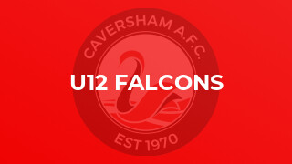 U12 Falcons