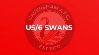 U5/6 Swans