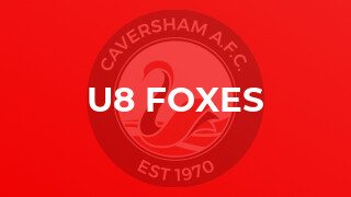 U8 Foxes
