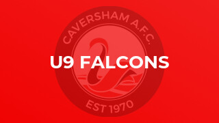 U9 Falcons