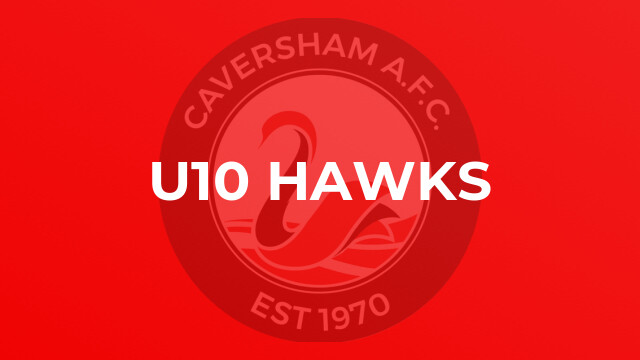 U10 Hawks