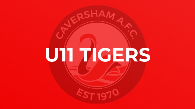 U11 Tigers