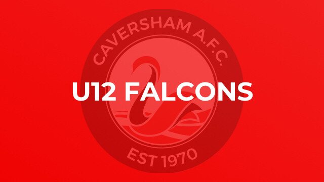 U12 Falcons