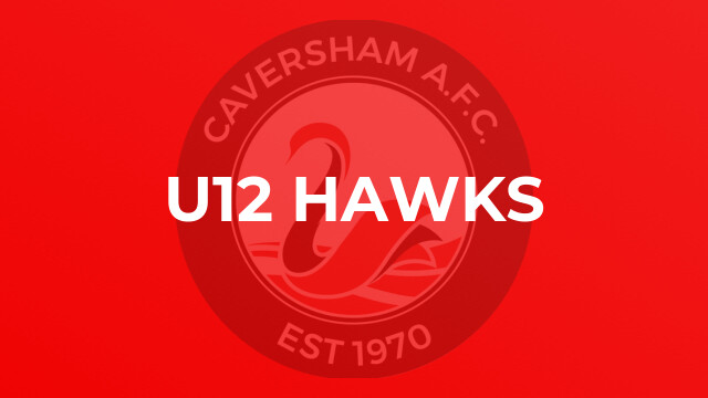 U12 Hawks