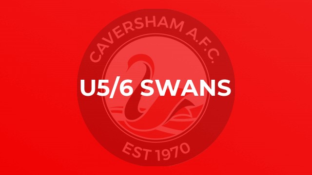 U5/6 Swans