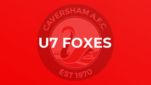 U7 Foxes