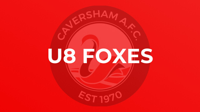 U8 Foxes