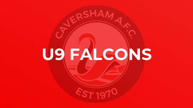 U9 Falcons