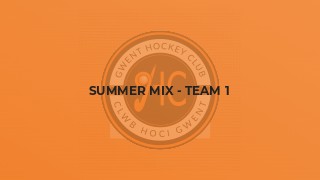 Summer Mix - Team 1