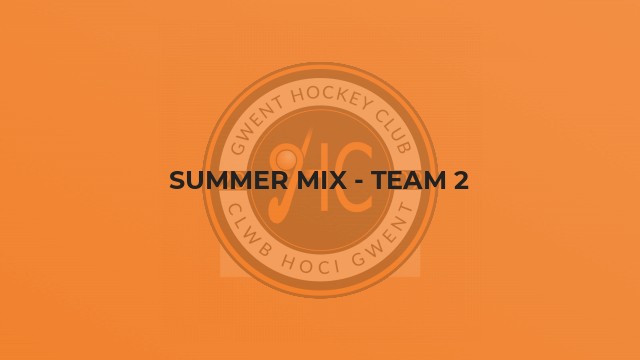 Summer Mix - Team 2
