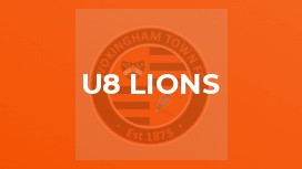 U8 Lions