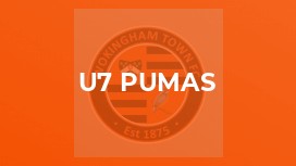 u7 Pumas