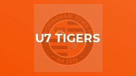 u7 Tigers