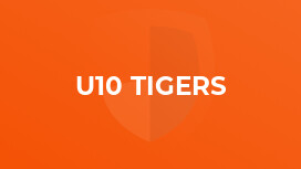 U10 Tigers