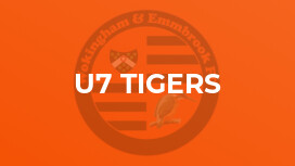 U7 Tigers