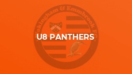 U8 Panthers
