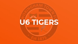 U6 Tigers