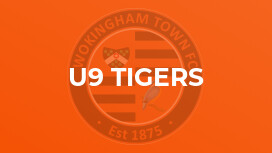 U9 Tigers
