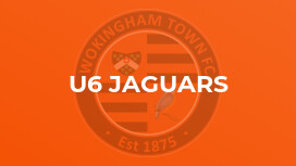 u6 Jaguars