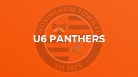 u6 Panthers