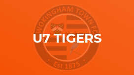 u7 Tigers