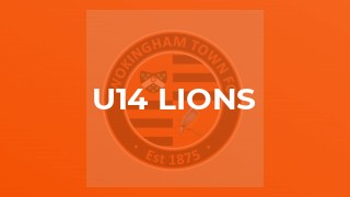 U14 Lions