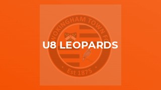 U8 Leopards