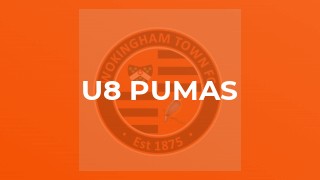 U8 Pumas