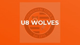 U8 Wolves