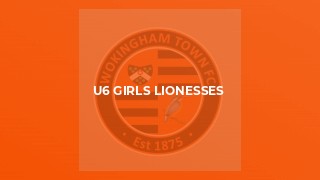 u6 Girls Lionesses